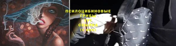 каннабис Белокуриха
