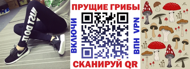 Псилоцибиновые грибы Cubensis Жигулёвск
